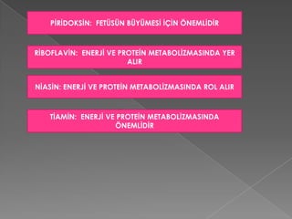 PİRİDOKSİN: FETÜSÜN BÜYÜMESİ İÇİN ÖNEMLİDİR



RİBOFLAVİN: ENERJİ VE PROTEİN METABOLİZMASINDA YER
                        ALIR


NİASİN: ENERJİ VE PROTEİN METABOLİZMASINDA ROL ALIR



   TİAMİN: ENERJİ VE PROTEİN METABOLİZMASINDA
                    ÖNEMLİDİR
 