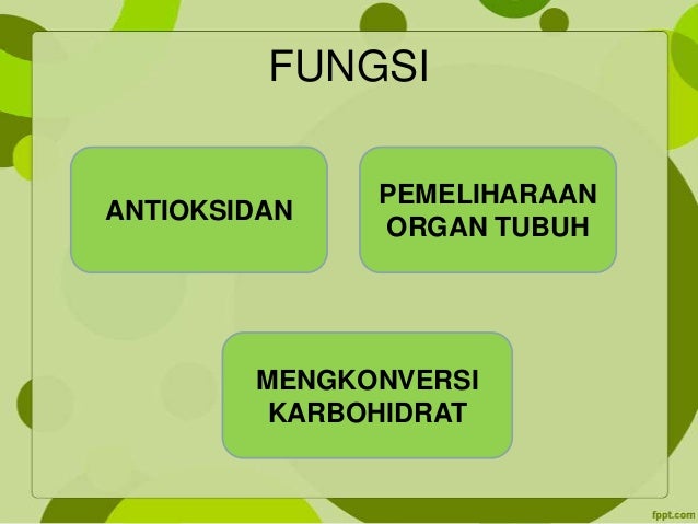 Vitamin, mineral dan air + uji makanan