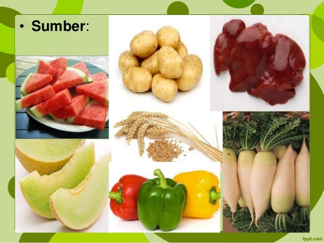 Contoh Makanan Yang Mengandung Vitamin B3 - Makanan Ku