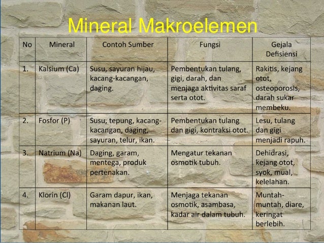 Vitamin, mineral dan air + uji makanan