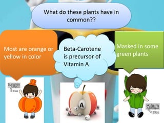 What do these plants have in
                      common??



Most are orange or   Beta-Carotene       Masked in some
yellow in color      is precursor of     green plants
                     Vitamin A
 