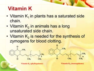 Vitamins | PDF