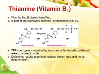 Vitamins | PDF