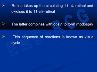  Retina takes up the circulating 11-cis-retinol and
oxidises it to 11-cis-retinal
 The latter combines with opsin to form rhodospin
 This sequence of reactions is known as visual
cycle
 