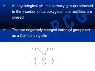  At physiological pH, the carboxyl groups attached
to the γ-carbon of carboxyglutamate residues are
ionised
 The two negatively charged carboxyl groups act
as a Ca++
-binding site
C O O ––
O O C
C H
|
C H 2
|| | |
— N — C H — C —
H O
 
