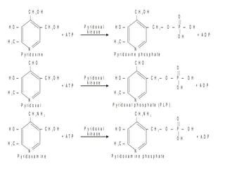  Subjects deficient in thiamin retain most of the
test dose in tissues and excrete less in urine
 Measurement of transketolase activity in
erythrocytes can confirm the diagnosis
C H O H
|
2
C H O
|
C H N H2 2
|
— C H O H2
— C H O H2
— C H O H2
H O —
H O —
H O —
H C —3
H C —3
H C —3
N
N
N
C H O H
|
2
C H O
|
C H N H
|
2 2
H O —
H O —
H O —
H C —3
H C —3
H C —3
N
N
N
— C H O — P — O H2 —
O
||
|
O H + A D P+ A T P
+ A T P
+ A T P
P y r id o x a l
k in a s e
P y r id o x a l
k in a s e
P y r id o x a l
k in a s e
P y r id o x in e
P y r id o x a l
P y r id o x a m in e
P y r id o x in e p h o s p h a te
P y r id o x a l p h o s p h a te ( P L P )
P y r id o x a m in e p h o s p h a te
— C H O — P — O H2 —
O
||
|
O H + A D P
— C H O — P — O H2 —
O
||
|
O H + A D P
 