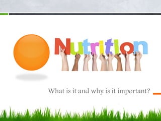 What is it and why is it important?
 