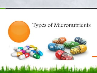 Types of Micronutrients
 