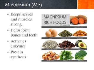 Magnesium (Mg)
• Keeps nerves
and muscles
strong
• Helps form
bones and teeth
• Activates
enzymes
• Protein
synthesis
 