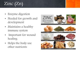 Zinc (Zn)
• Enzyme digestion
• Needed for growth and
development
• Maintains a healthy
immune system
• Important for wound
healing
• Helps the body use
other nutrients
 