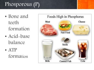 Phosporous (P)
• Bone and
teeth
formation
• Acid-base
balance
• ATP
formation
 