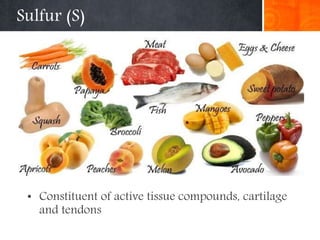Sulfur (S)
• Constituent of active tissue compounds, cartilage
and tendons
 