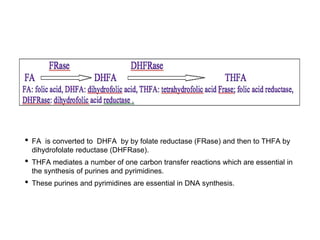 Physiological functions: Folic acid is inactive as such and is reduced to the coenzyme form
in two steps:
• FA is converted to DHFA by by folate reductase (FRase) and then to THFA by
dihydrofolate reductase (DHFRase).
• THFA mediates a number of one carbon transfer reactions which are essential in
the synthesis of purines and pyrimidines.
• These purines and pyrimidines are essential in DNA synthesis.
 
