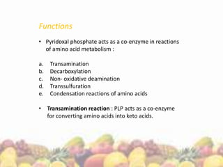Functions
• Pyridoxal phosphate acts as a co-enzyme in reactions
of amino acid metabolism :
a. Transamination
b. Decarboxylation
c. Non- oxidative deamination
d. Transsulfuration
e. Condensation reactions of amino acids
• Transamination reaction : PLP acts as a co-enzyme
for converting amino acids into keto acids.
 