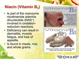 Niacin (Vitamin B3)
• Is part of the coenzyme
nicotinamide adenine
dinucleotide (NAD+)
involved in oxidation-
reduction reactions.
• Deficiency can result in
dermatitis, muscle
fatigue, and loss of
appetite.
• Is found in meats, rice,
and whole grains.
 