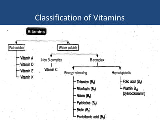 Classification of Vitamins
 