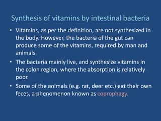 Synthesis of vitamins by intestinal bacteria
• Vitamins, as per the definition, are not synthesized in
the body. However, the bacteria of the gut can
produce some of the vitamins, required by man and
animals.
• The bacteria mainly live, and synthesize vitamins in
the colon region, where the absorption is relatively
poor.
• Some of the animals (e.g. rat, deer etc.) eat their own
feces, a phenomenon known as coprophagy.
 