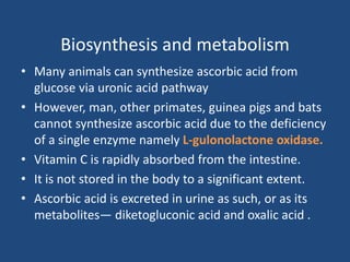 Biosynthesis and metabolism
• Many animals can synthesize ascorbic acid from
glucose via uronic acid pathway
• However, man, other primates, guinea pigs and bats
cannot synthesize ascorbic acid due to the deficiency
of a single enzyme namely L-gulonolactone oxidase.
• Vitamin C is rapidly absorbed from the intestine.
• It is not stored in the body to a significant extent.
• Ascorbic acid is excreted in urine as such, or as its
metabolites— diketogluconic acid and oxalic acid .
 