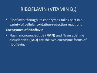 RIBOFLAVIN (VITAMIN B2)
• Riboflavin through its coenzymes takes part in a
variety of cellular oxidation-reduction reactions
Coenzymes of riboflavin
• Flavin mononucleotide (FMN) and flavin adenine
dinucleotide (FAD) are the two coenzyme forms of
riboflavin.
 