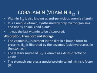 COBALAMIN (VITAMIN B12 )
• Vitamin B12 is also known as anti-pernicious anemia vitamin.
• It is a unique vitamin, synthesized by only microorganisms
and not by animals and plants.
• It was the last vitamin to be discovered.
Absorption, transport and storage
• The vitamin B12 is present in the diet in a bound form to
proteins. B12 is liberated by the enzymes (acid hydrolases) in
the stomach.
• The dietary source of B12 is known as extrinsic factor of
Castle.
• The stomach secretes a special protein called intrinsic factor
(IF).
 