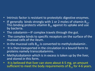 • Intrinsic factor is resistant to proteolytic digestive enzymes.
• IF generally binds strongly with 1 or 2 moles of vitamin B12.
This binding protects vitamin B12 against its uptake and use
by bacteria.
• The cobalamin—IF complex travels through the gut.
• The complex binds to specific receptors on the surface of the
mucosal cells of the ileum.
• In the mucosal cells B12 is converted to methylcobalamin .
• It is then transported in the circulation in a bound form to
proteins namely transcobalamins.
• Methylcobalamin which is in excess is taken up by the liver,
and stored in this form.
• It is believed that liver can store about 4-5 mg, an amount
sufficient to meet the body requirements of B12 for 4-6 years.
 