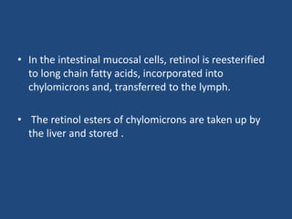 • In the intestinal mucosal cells, retinol is reesterified
to long chain fatty acids, incorporated into
chylomicrons and, transferred to the lymph.
• The retinol esters of chylomicrons are taken up by
the liver and stored .
 