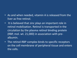 • As and when needed, vitamin A is released from the
liver as free retinol.
• It is believed that zinc plays an important role in
retinol mobilization. Retinol is transported in the
circulation by the plasma retinol binding protein
(RBP, mol. wt. 21,000) in association with pre-
albumin.
• The retinol-RBP complex binds to specific receptors
on the cell membrane of peripheral tissue and enters
the cells.
 