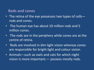 Rods and cones
• The retina of the eye possesses two types of cells—
rods and cones.
• The human eye has about 10 million rods and 5
million cones.
• The rods are in the periphery while cones are at the
centre of retina.
• Rods are involved in dim light vision whereas cones
are responsible for bright light and colour vision.
• Animals—such as owls and cats for which night
vision is more important.— possess mostly rods.
 