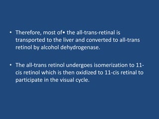 • Therefore, most of• the all-trans-retinal is
transported to the liver and converted to all-trans
retinol by alcohol dehydrogenase.
• The all-trans retinol undergoes isomerization to 11-
cis retinol which is then oxidized to 11-cis retinal to
participate in the visual cycle.
 