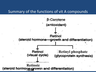 Summary of the functions of vit A compounds
Retinyl phosphate
Retinoic
Acid
 