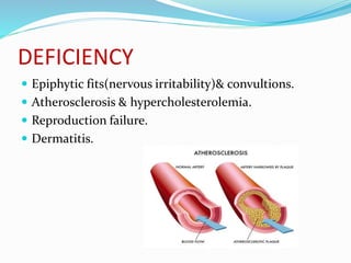 DEFICIENCY
 Epiphytic fits(nervous irritability)& convultions.
 Atherosclerosis & hypercholesterolemia.
 Reproduction failure.
 Dermatitis.
 