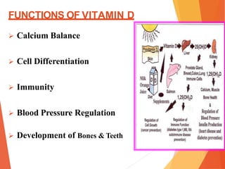 FUNCTIONS OF VITAMIN D
 Calcium Balance
 Cell Differentiation
 Immunity
 Blood Pressure Regulation
 Development of Bones & Teeth
 