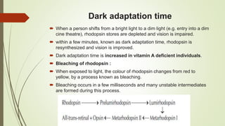 Dark adaptation time
 When a person shifts from a bright light to a dim light (e.g. entry into a dim
cine theatre), rhodopsin stores are depleted and vision is impaired.
 within a few minutes, known as dark adaptation time, rhodopsin is
resynthesized and vision is improved.
 Dark adaptation time is increased in vitamin A deficient individuals.
 Bleaching of rhodopsin :
 When exposed to light, the colour of rhodopsin changes from red to
yellow, by a process known as bleaching.
 Bleaching occurs in a few milliseconds and many unstable intermediates
are formed during this process.
 