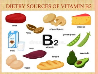 DIETRY SOURCES OF VITAMIN B2
 