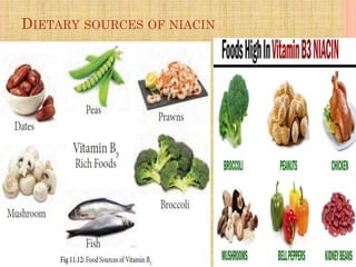 DIETARY SOURCES OF NIACIN
 