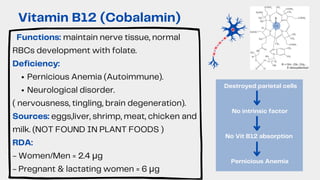 Pernicious Anemia (Autoimmune).
Neurological disorder.
Functions: maintain nerve tissue, normal
RBCs development with folate.
Deficiency:
( nervousness, tingling, brain degeneration).
Sources: eggs,liver, shrimp, meat, chicken and
milk. (NOT FOUND IN PLANT FOODS )
RDA:
- Women/Men = 2.4 μg
- Pregnant & lactating women = 6 μg
Vitamin B12 (Cobalamin)
Destroyed parietal cells
No intrinsic factor
No Vit B12 absorption
Pernicious Anemia
 