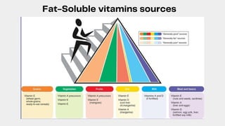 Fat-Soluble vitamins sources
 
