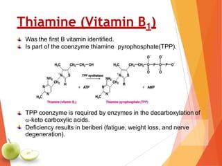 Thiamine (Vitamin B1)
Was the first B vitamin identified.
Is part of the coenzyme thiamine pyrophosphate(TPP).
TPP coenzyme is required by enzymes in the decarboxylation of
-keto carboxylic acids.
Deficiency results in beriberi (fatigue, weight loss, and nerve
degeneration).
 