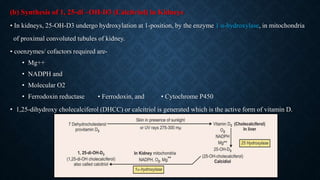 (b) Synthesis of 1, 25-di –OH-D3 (Calcitriol) in Kidneys
• In kidneys, 25-OH-D3 undergo hydroxylation at 1-position, by the enzyme 1 α-hydroxylase, in mitochondria
of proximal convoluted tubules of kidney.
• coenzymes/ cofactors required are-
• Mg++
• NADPH and
• Molecular O2
• Ferrodoxin reductase • Ferrodoxin, and • Cytochrome P450
• 1,25-dihydroxy cholecalciferol (DHCC) or calcitriol is generated which is the active form of vitamin D.
 