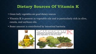 Dietary Sources Of Vitamin K
• Green leafy vegetables are good dietary sources.
• Vitamin K is present in vegetable oils and is particularly rich in olive,
canola, and soybean oils.
• Some amount is contributed by intestinal bacteria
 