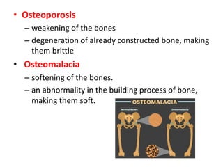 • Osteoporosis
– weakening of the bones
– degeneration of already constructed bone, making
them brittle
• Osteomalacia
– softening of the bones.
– an abnormality in the building process of bone,
making them soft.
 