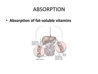 ABSORPTION
• Absorption of fat-soluble vitamins
 
