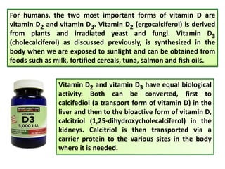 For humans, the two most important forms of vitamin D are
vitamin D2 and vitamin D3. Vitamin D2 (ergocalciferol) is derived
from plants and irradiated yeast and fungi. Vitamin D3
(cholecalciferol) as discussed previously, is synthesized in the
body when we are exposed to sunlight and can be obtained from
foods such as milk, fortified cereals, tuna, salmon and fish oils.
Vitamin D2 and vitamin D3 have equal biological
activity. Both can be converted, first to
calcifediol (a transport form of vitamin D) in the
liver and then to the bioactive form of vitamin D,
calcitriol (1,25-dihydroxycholecalciferol) in the
kidneys. Calcitriol is then transported via a
carrier protein to the various sites in the body
where it is needed.
 