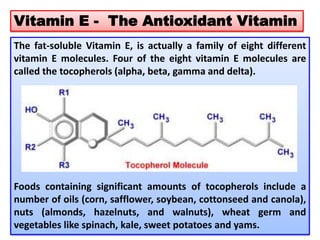 Vitamin E - The Antioxidant Vitamin
The fat-soluble Vitamin E, is actually a family of eight different
vitamin E molecules...