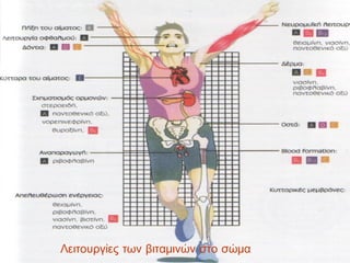 Λειτουργίες των βιταμινών στο σώμα
 