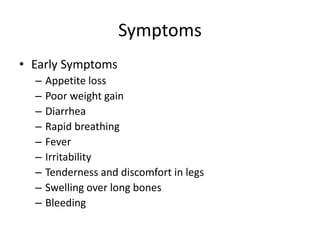 Symptoms
• Early Symptoms
– Appetite loss
– Poor weight gain
– Diarrhea
– Rapid breathing
– Fever
– Irritability
– Tenderness and discomfort in legs
– Swelling over long bones
– Bleeding
 