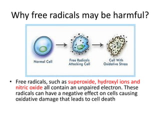 Why free radicals may be harmful?
• Free radicals, such as superoxide, hydroxyl ions and
nitric oxide all contain an unpaired electron. These
radicals can have a negative effect on cells causing
oxidative damage that leads to cell death
 