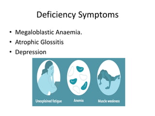 Deficiency Symptoms
• Megaloblastic Anaemia.
• Atrophic Glossitis
• Depression
 