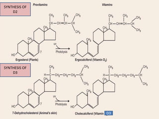 D3
SYNTHESIS OF
D2
SYNTHESIS OF
D3
 
