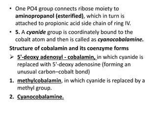 • One PO4 group connects ribose moiety to
aminopropanol (esterified), which in turn is
attached to propionic acid side chain of ring IV.
• 5. A cyanide group is coordinately bound to the
cobalt atom and then is called as cyanocobalamine.
Structure of cobalamin and its coenzyme forms
 5'-deoxy adenosyl - cobalamin, in which cyanide is
replaced with 5'-deoxy adenosine (forming an
unusual carbon–cobalt bond)
1. methylcobalamin, in which cyanide is replaced by a
methyl group.
2. Cyanocobalamine.
 